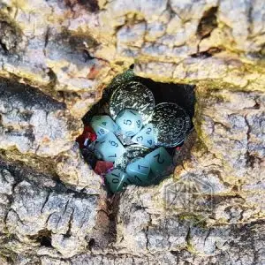 Dadi poliedrici Live Ash grigio-verdi fosforescenti con monete argentate nella cavità di una corteccia d'albero