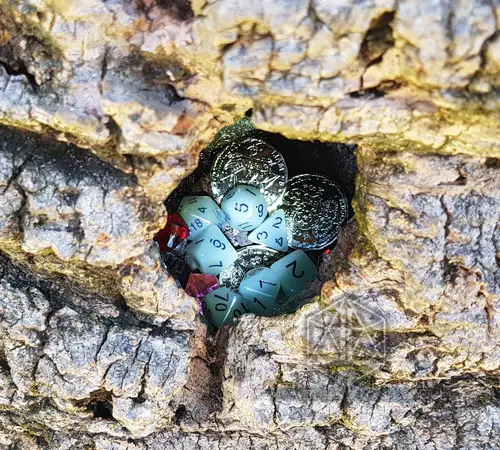 Dadi poliedrici Live Ash grigio-verdi fosforescenti con monete argentate nella cavità di una corteccia d'albero