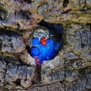 Set di dadi GdR Underworld, dadi poliedrici blu luminosi in una cavità di corteccia con monete d'oro e gemme rosse e rosa