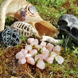 Rune divinatorie Crystal Petals in quarzo rosa con simboli dorati sul muschio, accanto a corno, teschio intagliato e pendolo