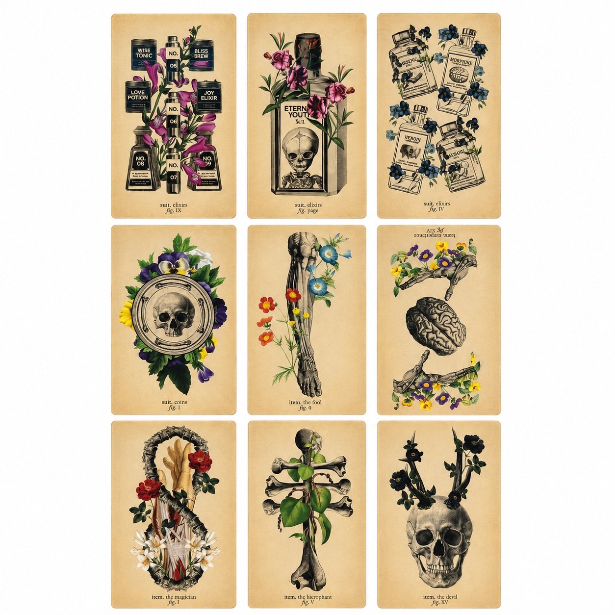 Antique Anatomy – 78-card Tarot Deck 2 Antique Anatomy – 78-card Tarot Deck - Image 2