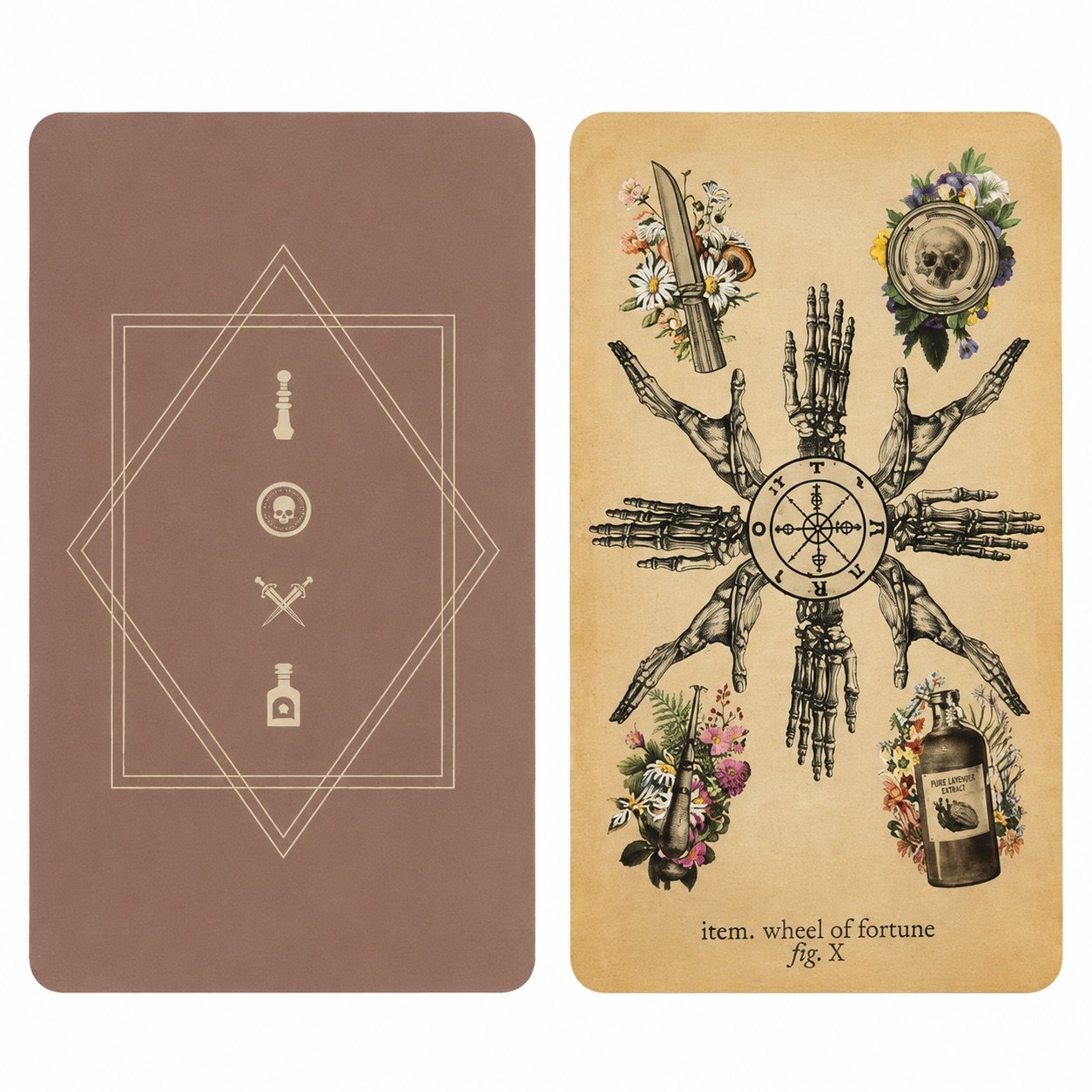 Antique Anatomy – 78-card Tarot Deck 3 Antique Anatomy – 78-card Tarot Deck - Image 3